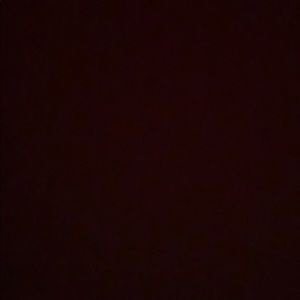 Meet your Posher, Noah